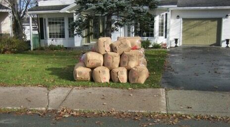 A pile of 10 or 12 paper yard waste bags at the curb of a property for curbside collection.