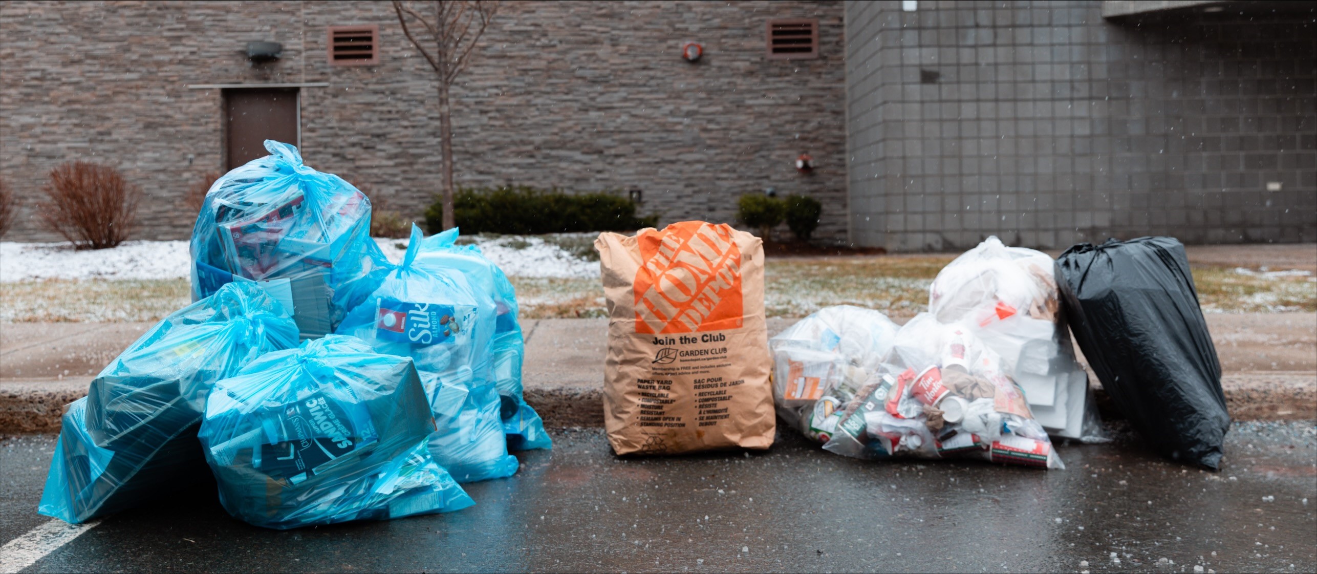 waste set out to curb with blue recycling bags, yard waste bags, and clear garbage bags with one nontransparent black bag