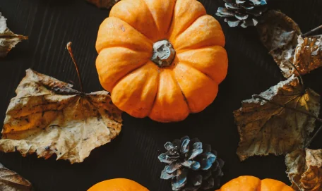 top view of an orange pucmpkin with brown leaves around it